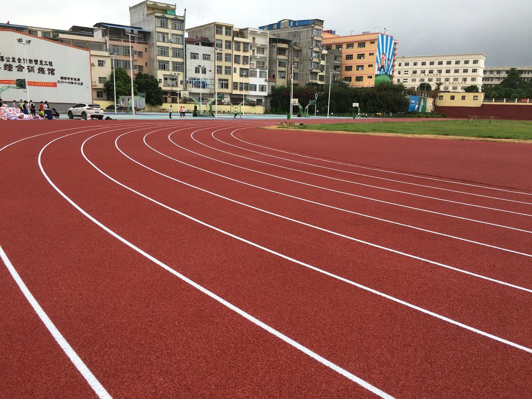 滨州市硅PU塑胶跑道材料 - 厂家